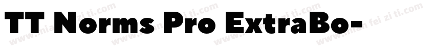 TT Norms Pro ExtraBo字体转换